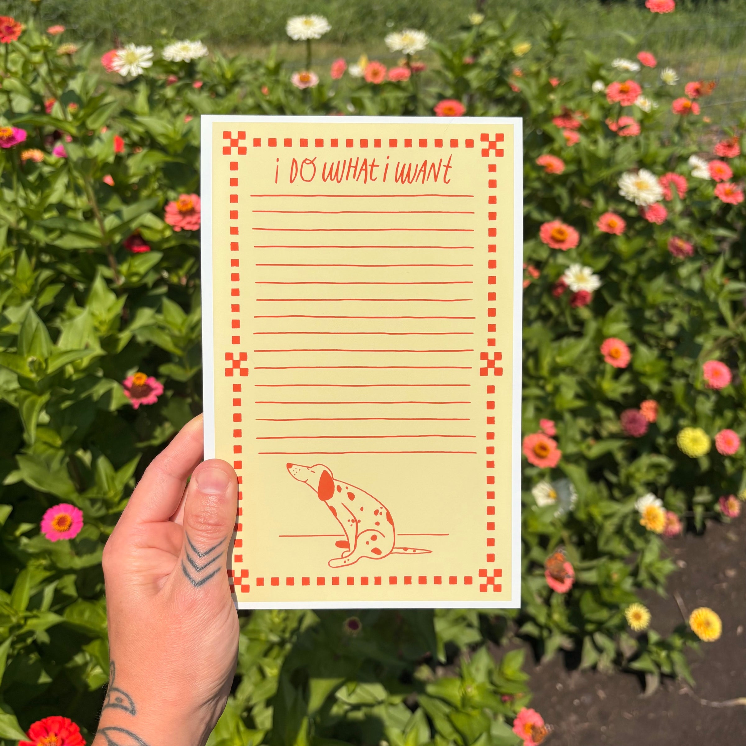clementine sunshine | clementine sunshine